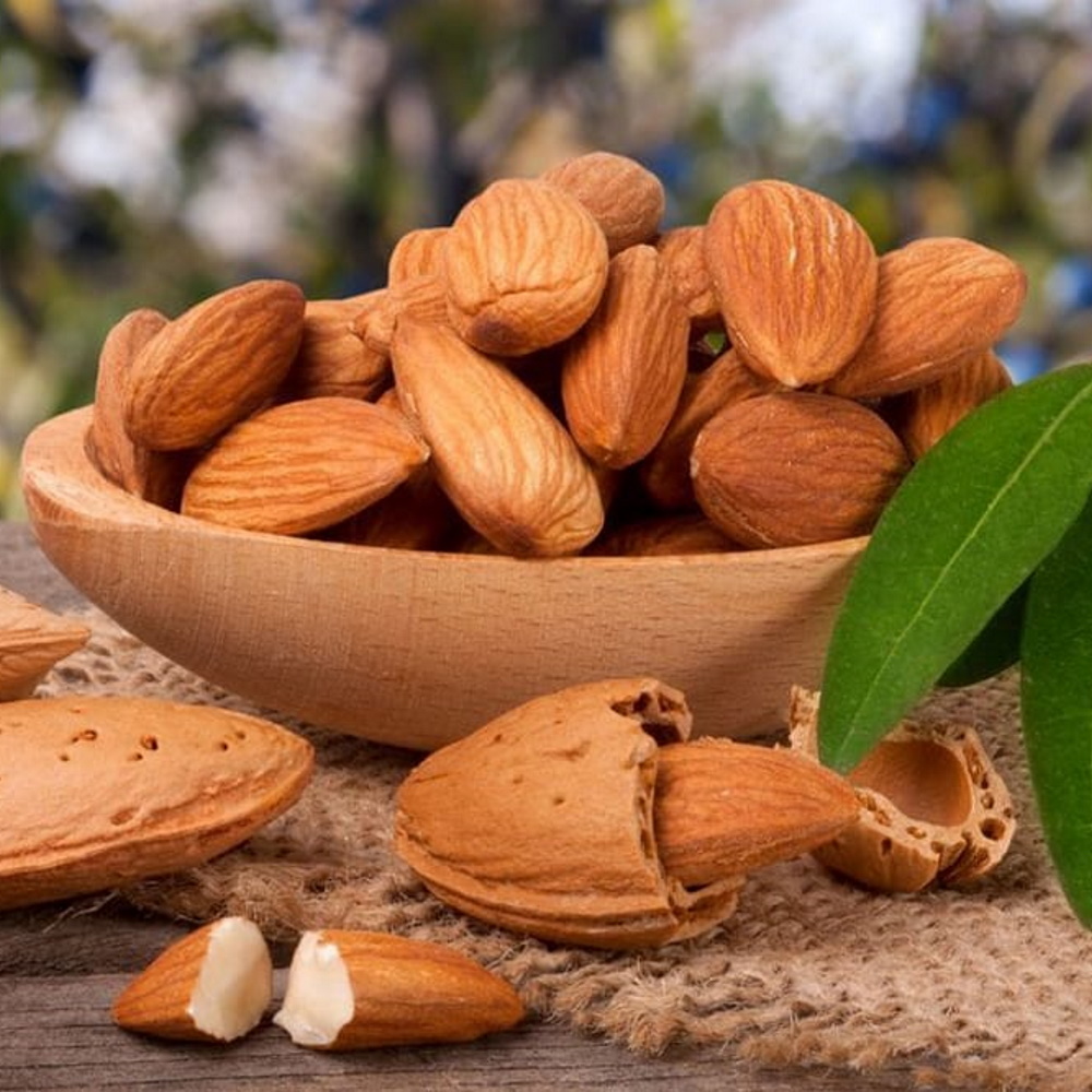 RAW ALMOND - WHOLESALE NATURAL SALTED ALMOND